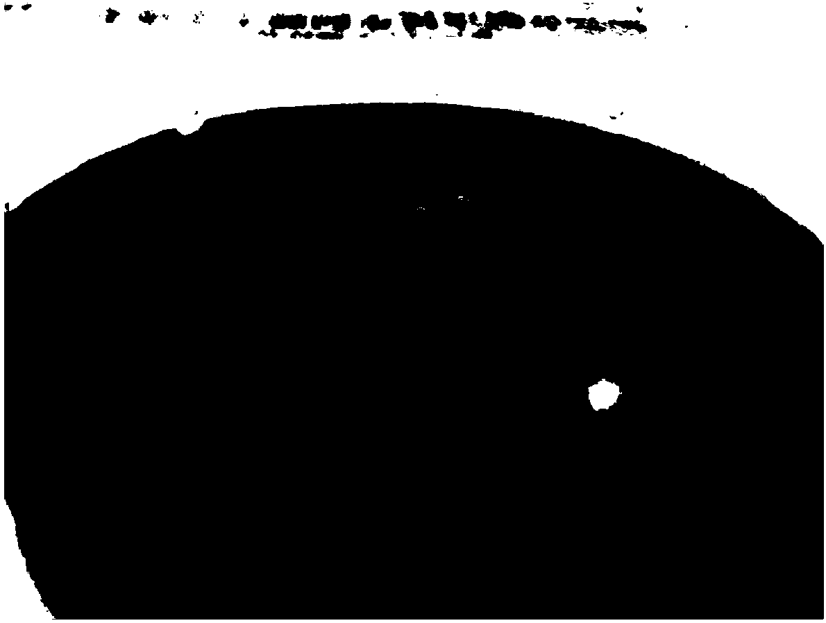 Method for culturing non-heading Chinese cabbage microspore plantlets