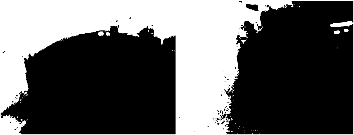 Method for culturing non-heading Chinese cabbage microspore plantlets