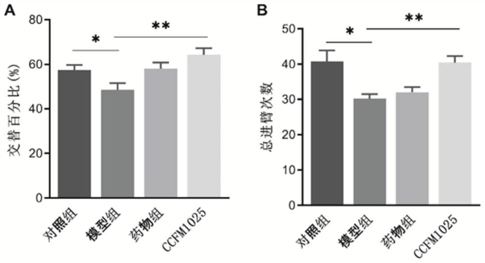 Application of bifidobacterium breve CCFM1025 in relieving Alzheimer's disease