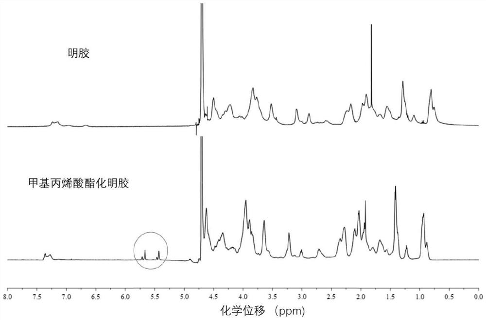 A composite dressing that promotes wound healing and regeneration and loads traditional Chinese medicine exosomes and its preparation method