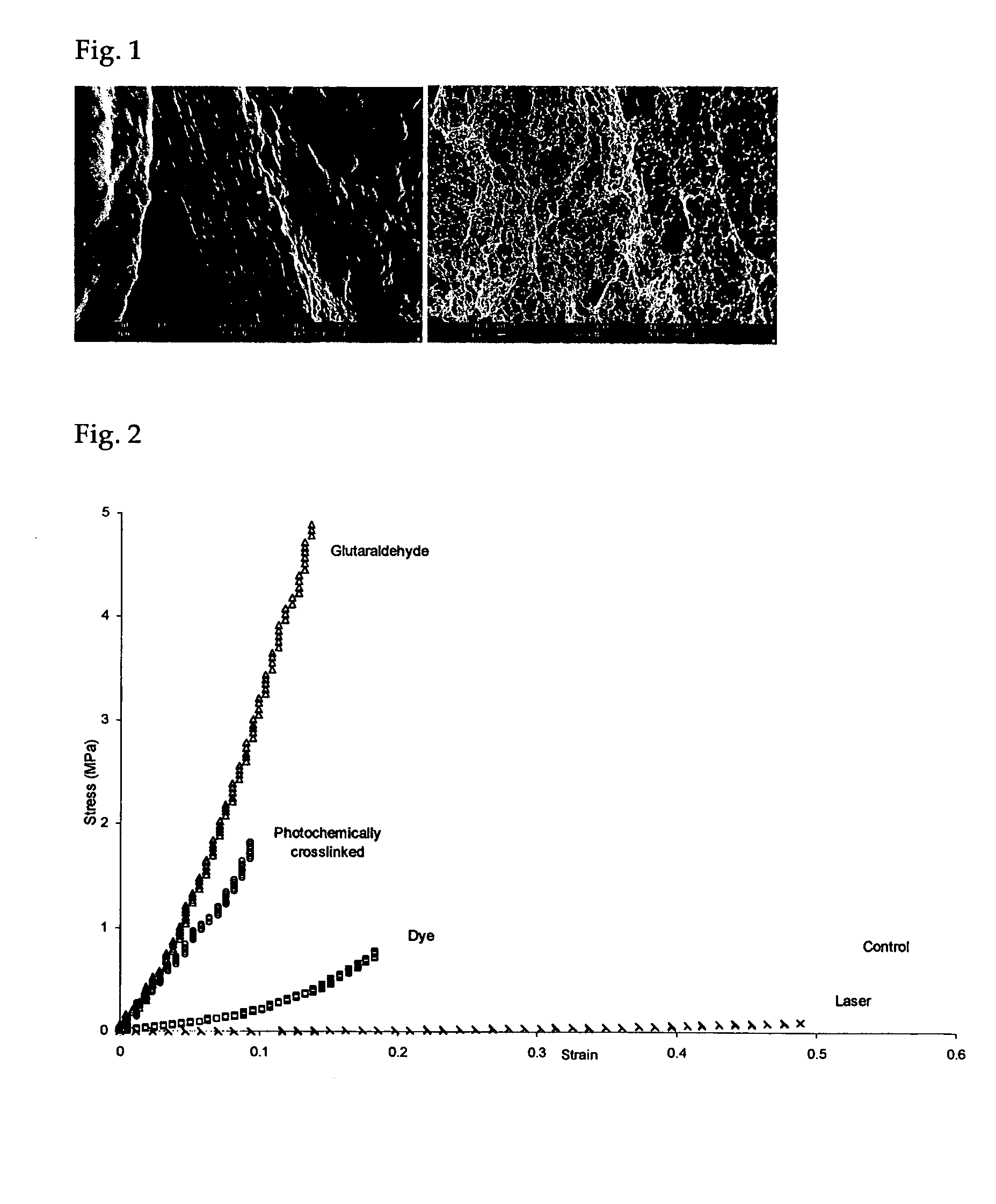 Photochemically crosslinked collagen scaffolds and methods for their preparation