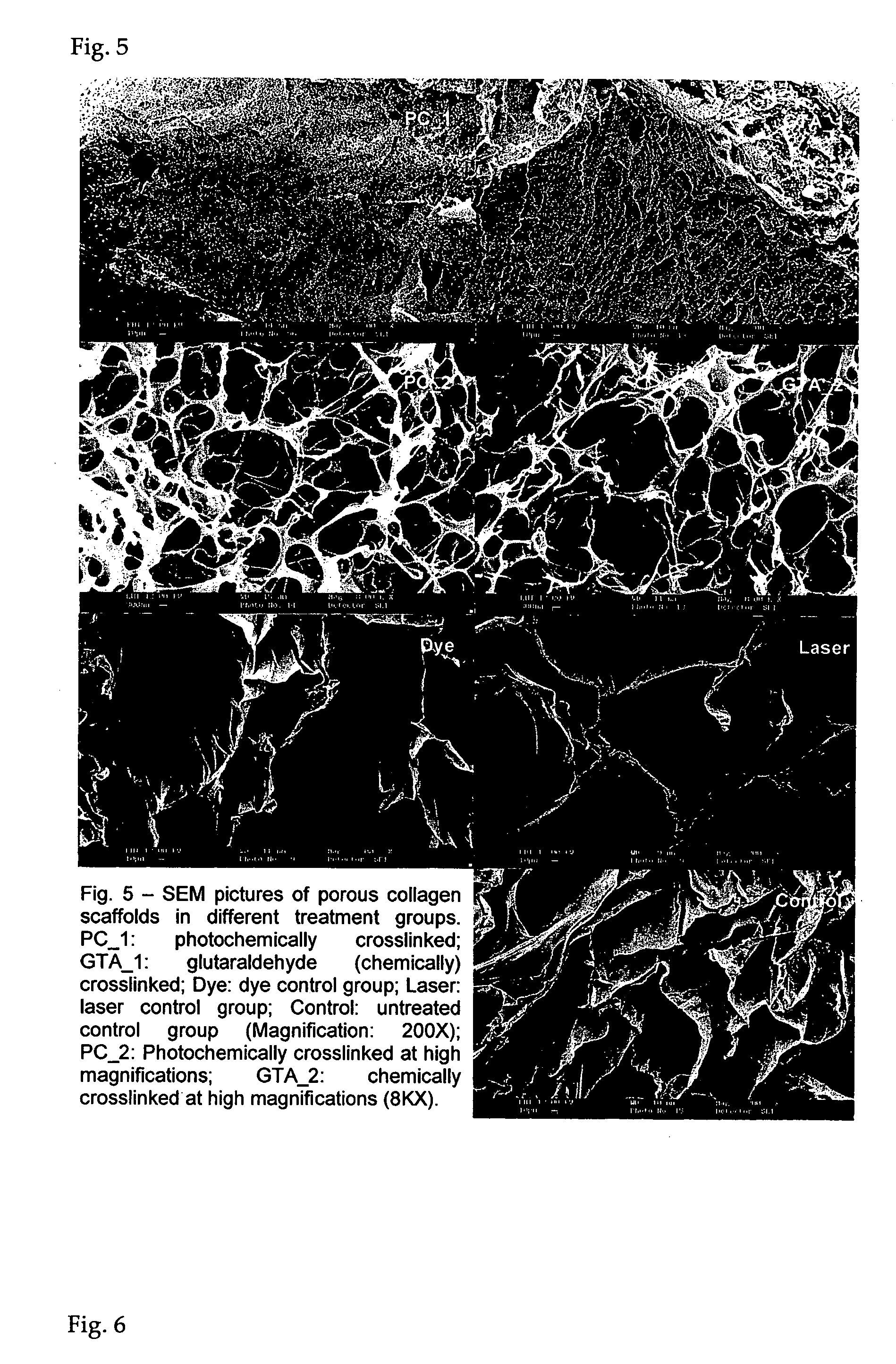 Photochemically crosslinked collagen scaffolds and methods for their preparation