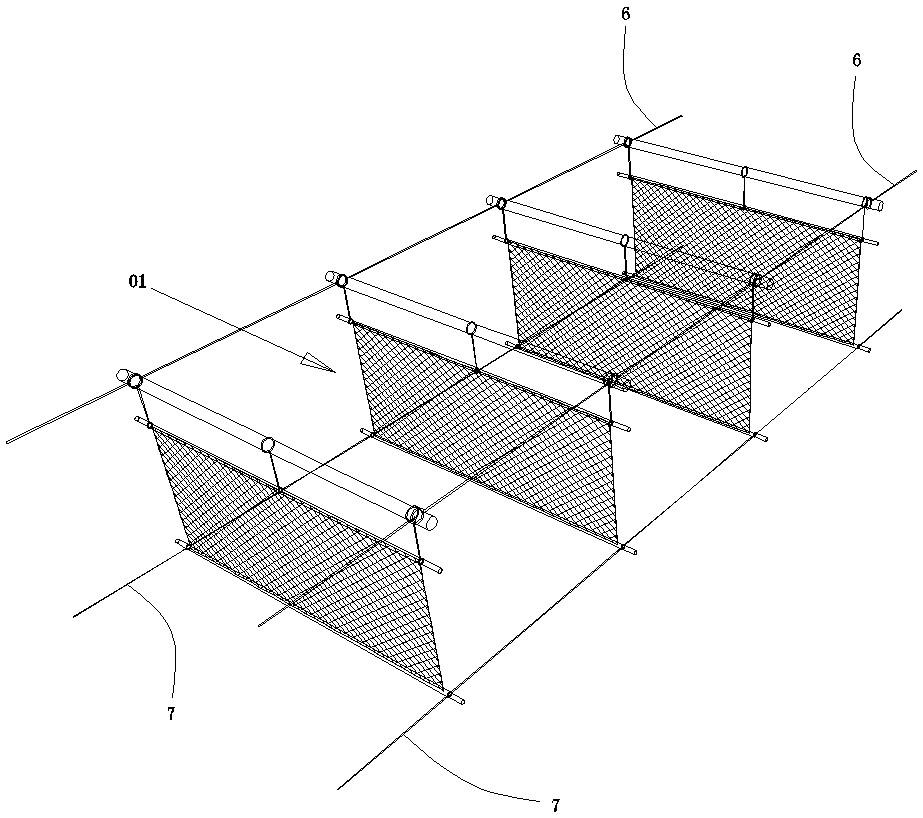 Preparation process of freshwater macrofilamentous green algae module for eutrophic water purification