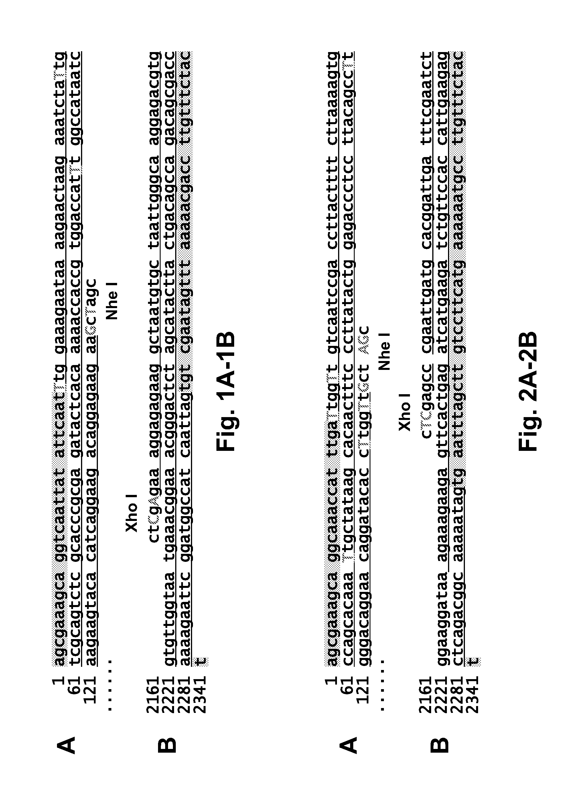 Influenza viruses and uses thereof