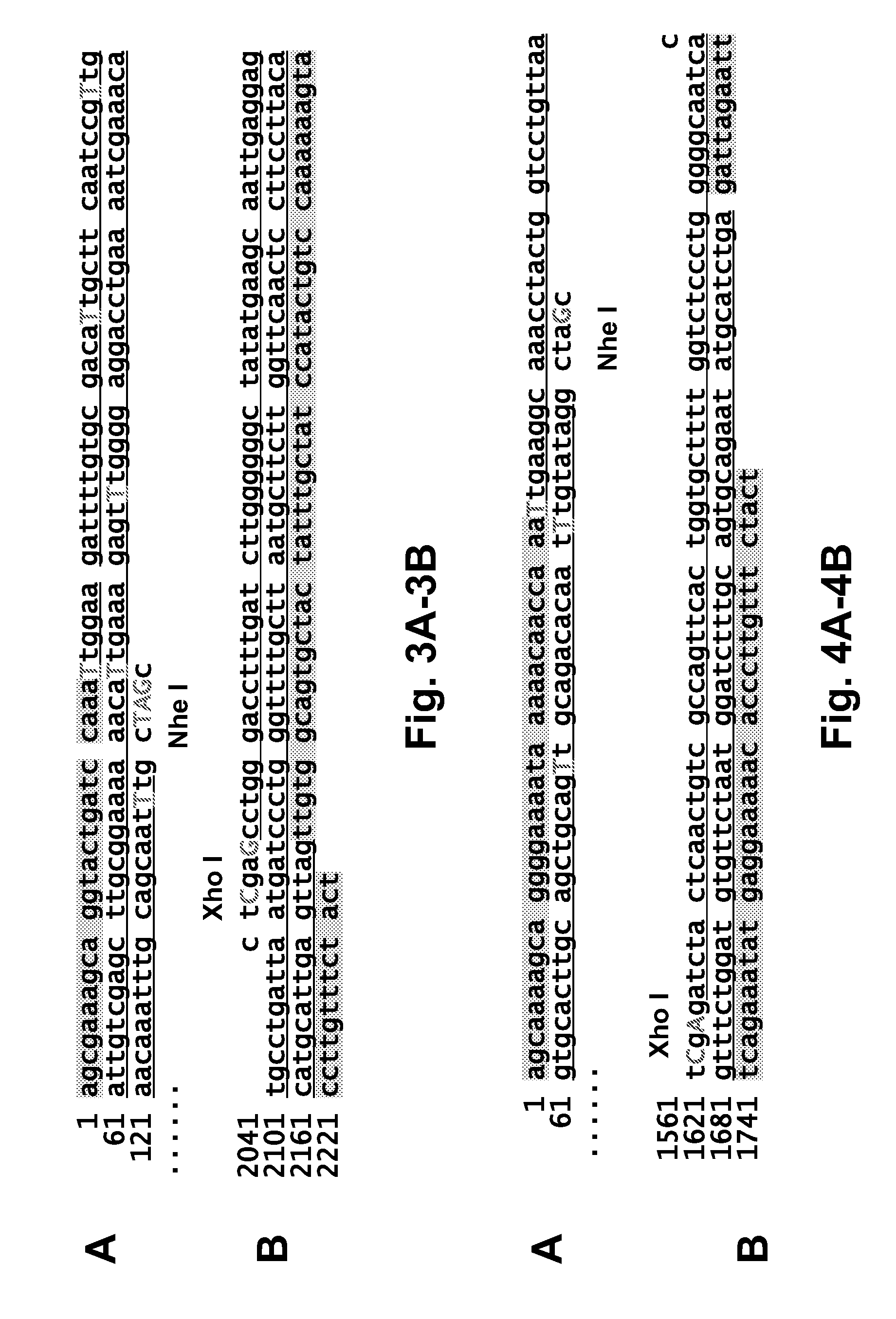 Influenza viruses and uses thereof