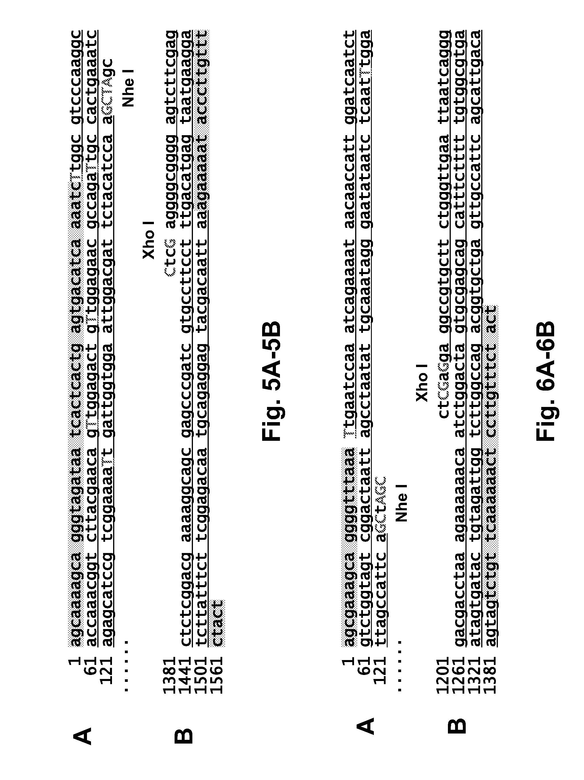 Influenza viruses and uses thereof