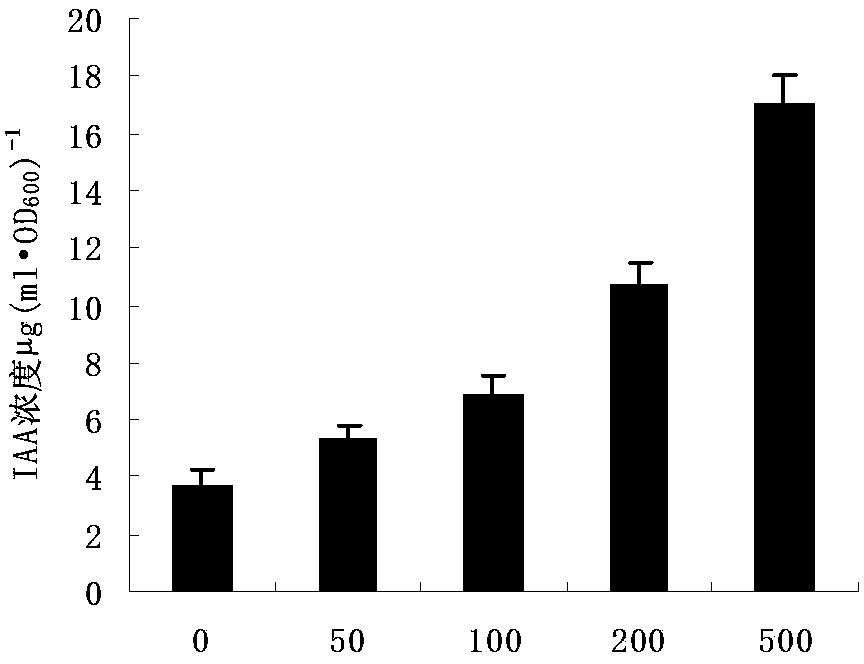 Alfalfa growthpromoting rhizobacteria MJM-11 and application thereof