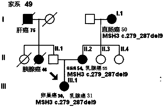 Mutant gene group for mammary cancer risk assessment and detection kit thereof