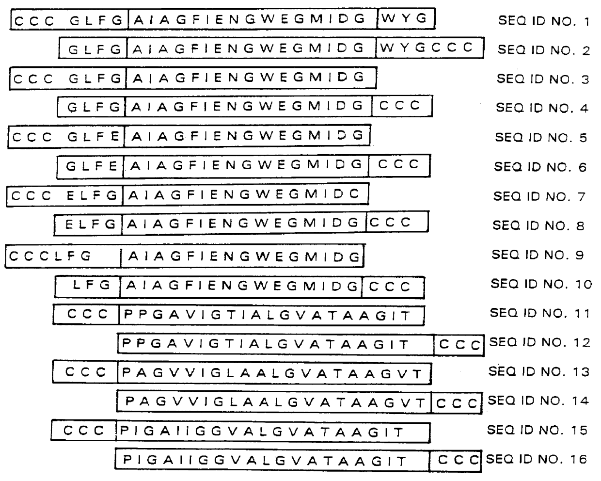 Synthetic membrane vesicles containing functionally active fusion peptides as drug delivery systems