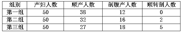 Composition capable of rapidly providing energy required for parturient delivery