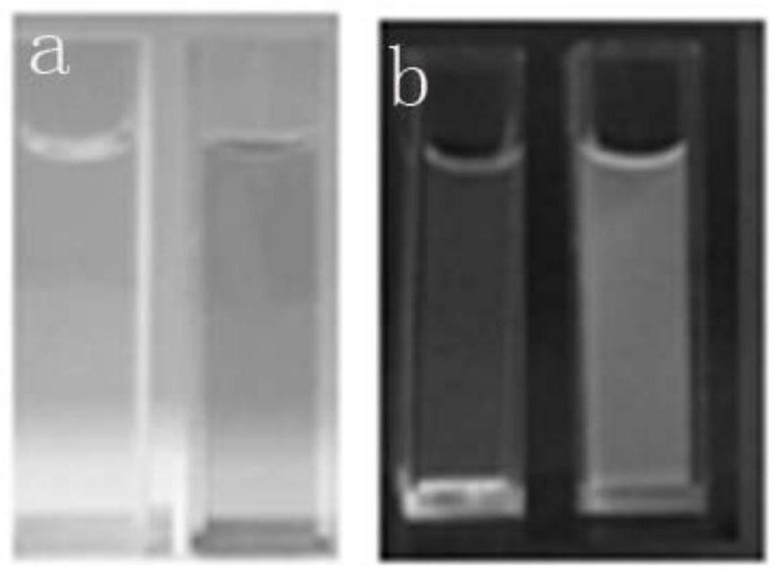 Six-membered spiro rhodamine copper ion fluorescent probe containing hydroxyurea structure as well as preparation method and application of six-membered spiro rhodamine copper ion fluorescent probe