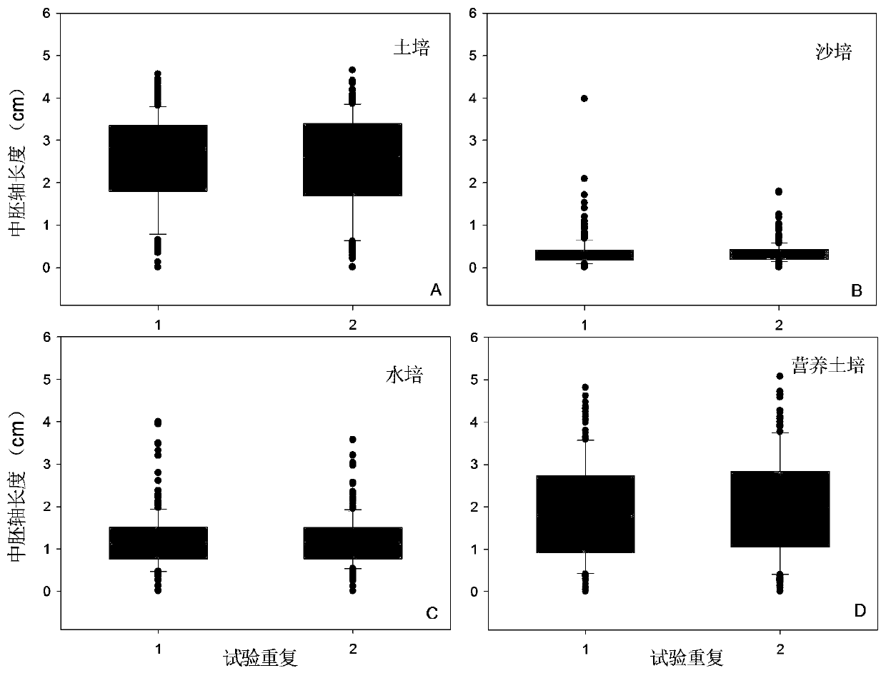 Identification method for mesocotyl elongation capability of dry direct seeded rice