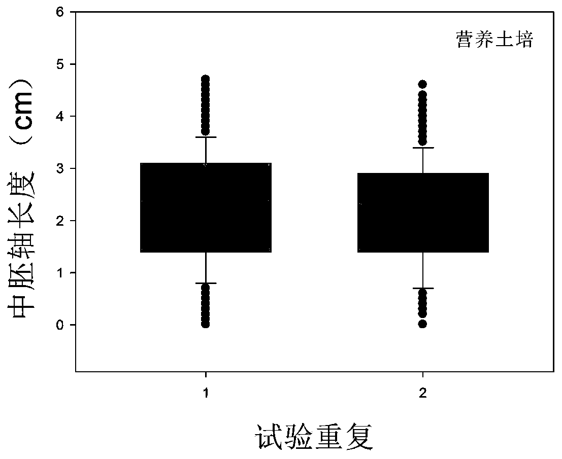 Identification method for mesocotyl elongation capability of dry direct seeded rice