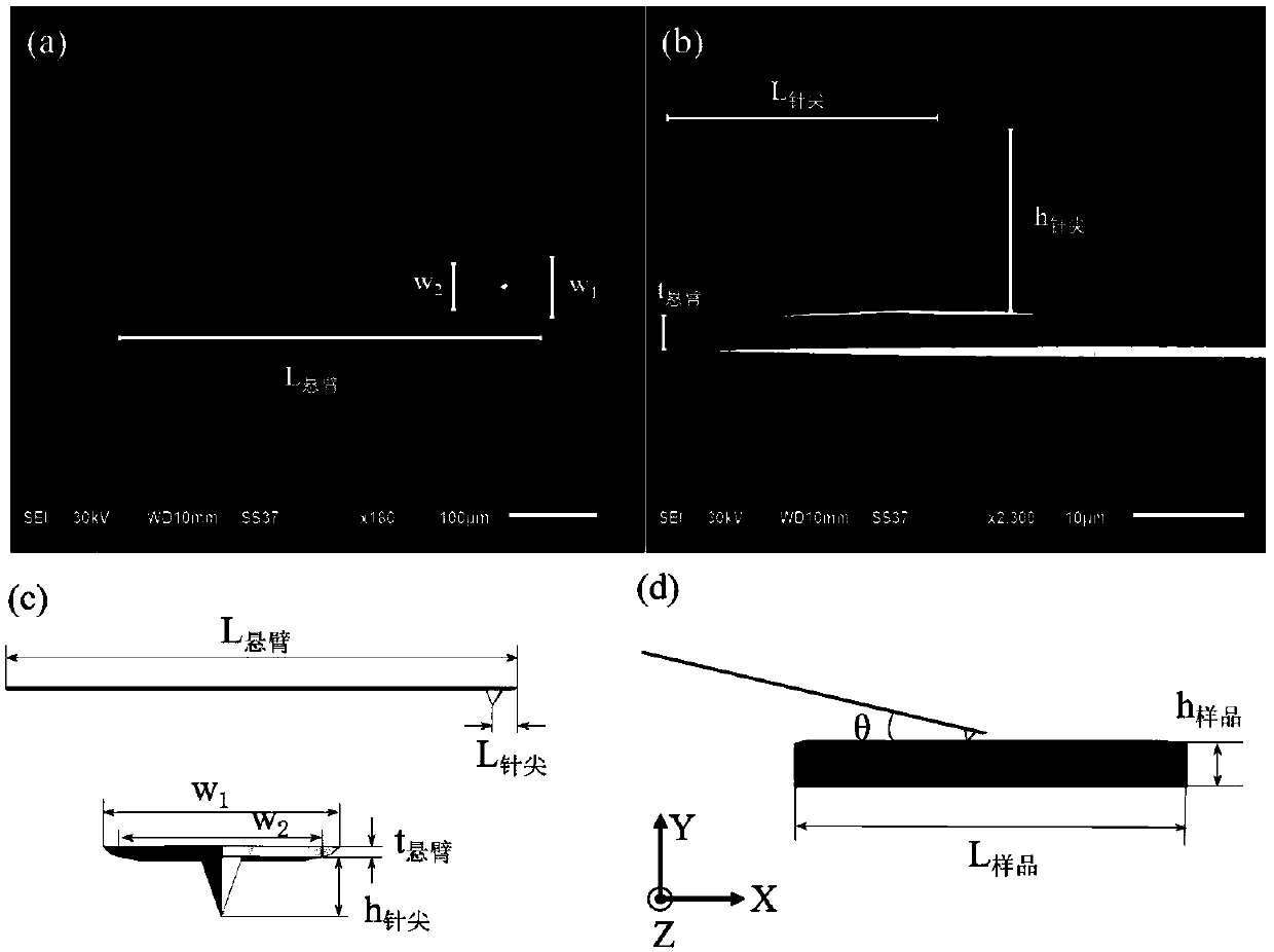 Frequency scanning signal analysis method based on atomic force microscopy technology and application thereof