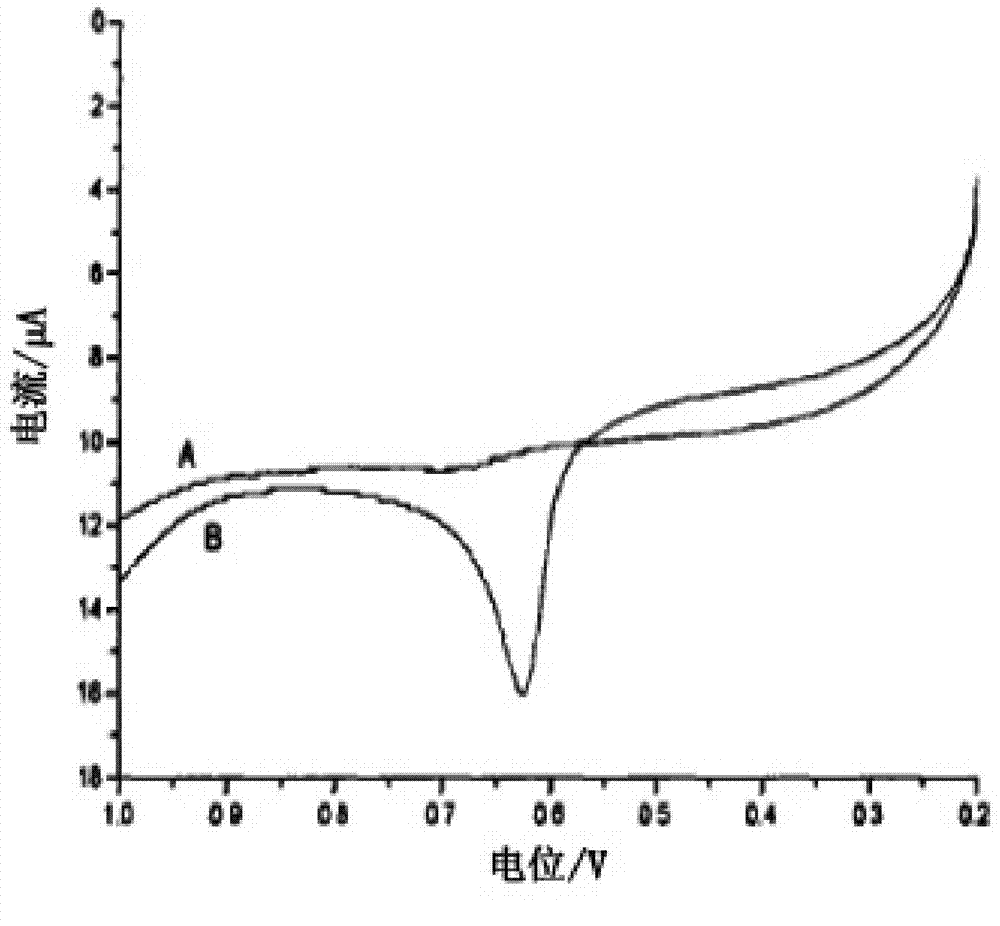 Sensitive membrane, screen-printed electrode containing sensitive membrane and application thereof