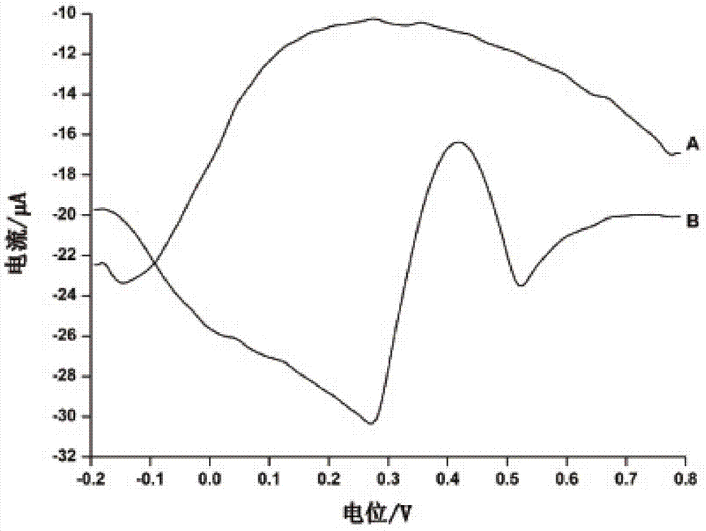 Sensitive membrane, screen-printed electrode containing sensitive membrane and application thereof