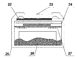 On-line detection device and detection method for natural hydrogen sulfide and thiophane content