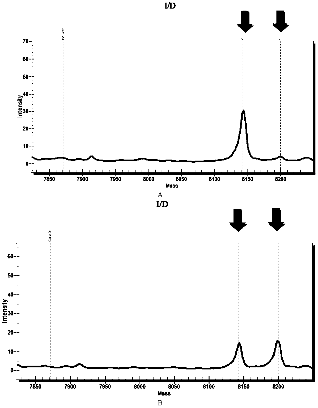 Reagent kit for detecting cardiovascular disease medication genes and detection method