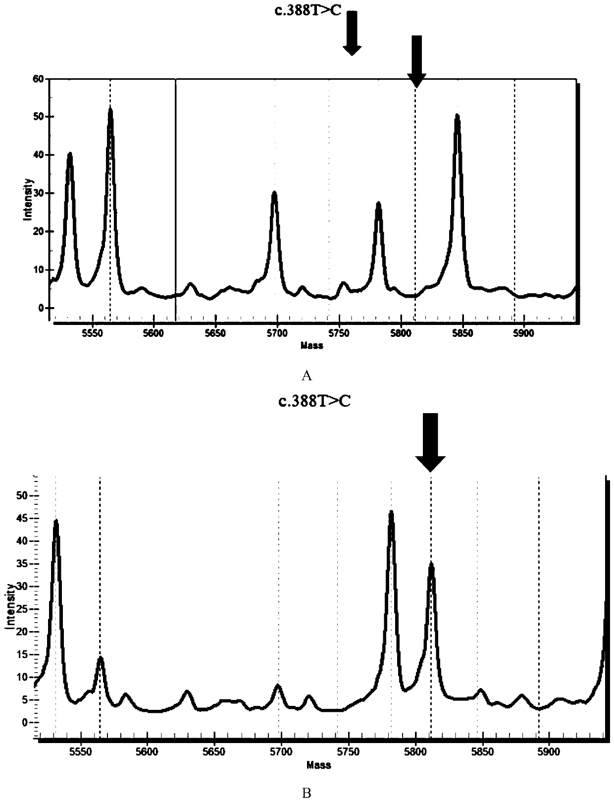 Reagent kit for detecting cardiovascular disease medication genes and detection method