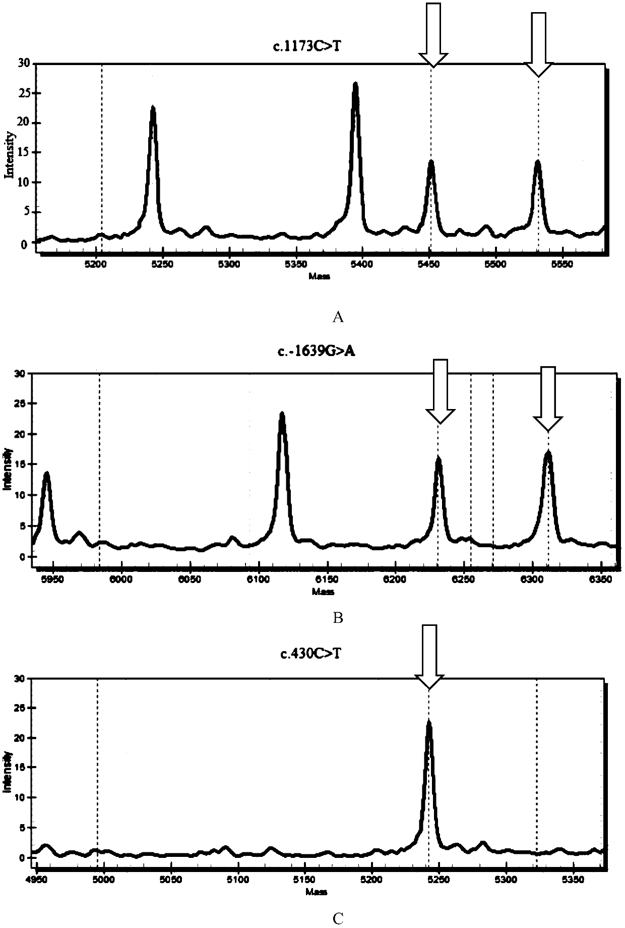 Reagent kit for detecting cardiovascular disease medication genes and detection method