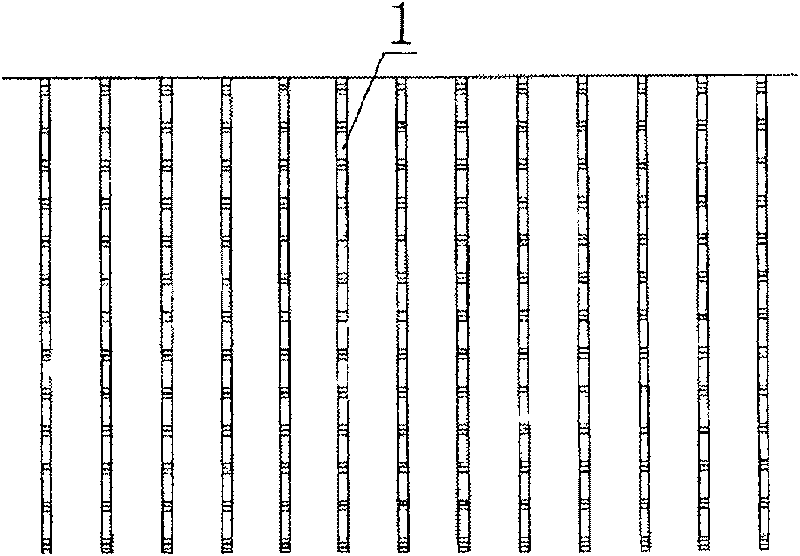 Saline soil area combined drain system and forced ramming foundation treating method thereof