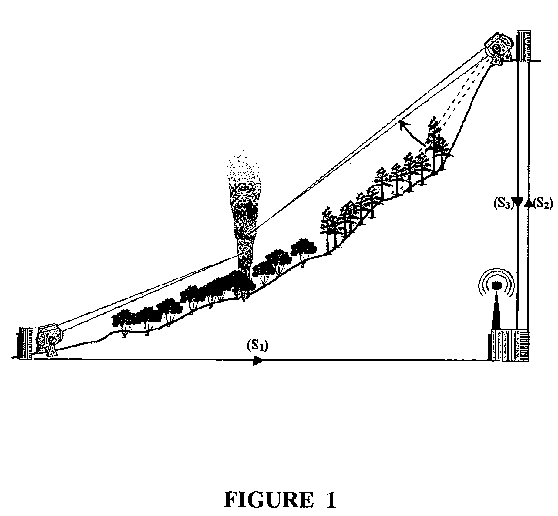 Lidar system controlled by computer for smoke identification applied, in particular, to early stage forest fire detection