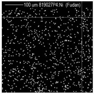 Preparation for catalyst-silicon carbide reactor for preparing ethylene through ethane dehydrogenation