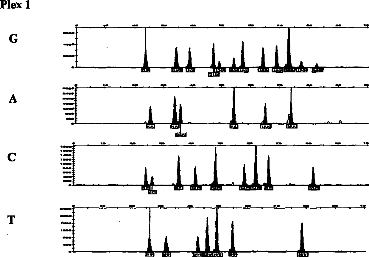 Multicolor fluorescence composite detection method and kit of 44 SNPs (Single Nucleotide Polymorphism) loci