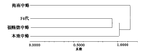 Method for breeding special pollination apis cerana