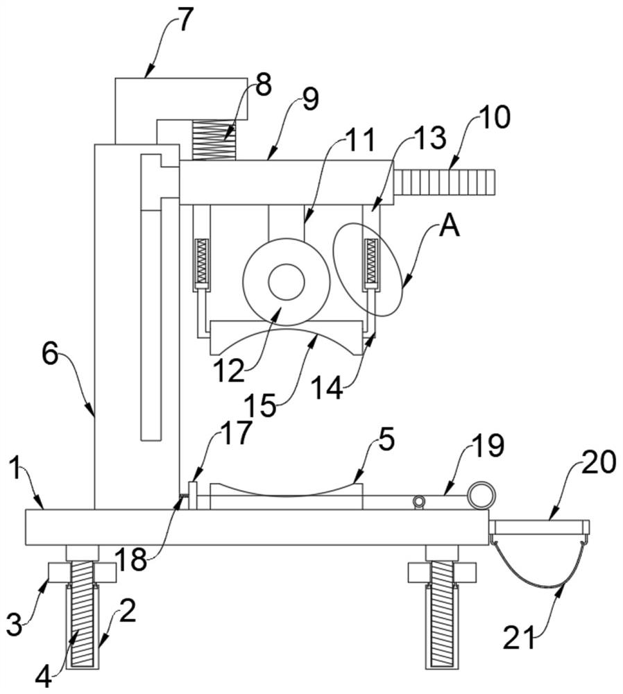 Giant salamander meat processing cutting device