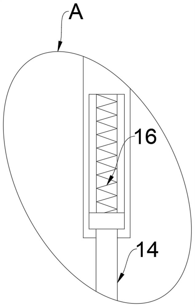 Giant salamander meat processing cutting device