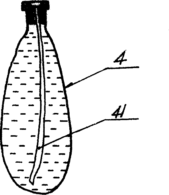 Re-usable liquid spirit fog machine