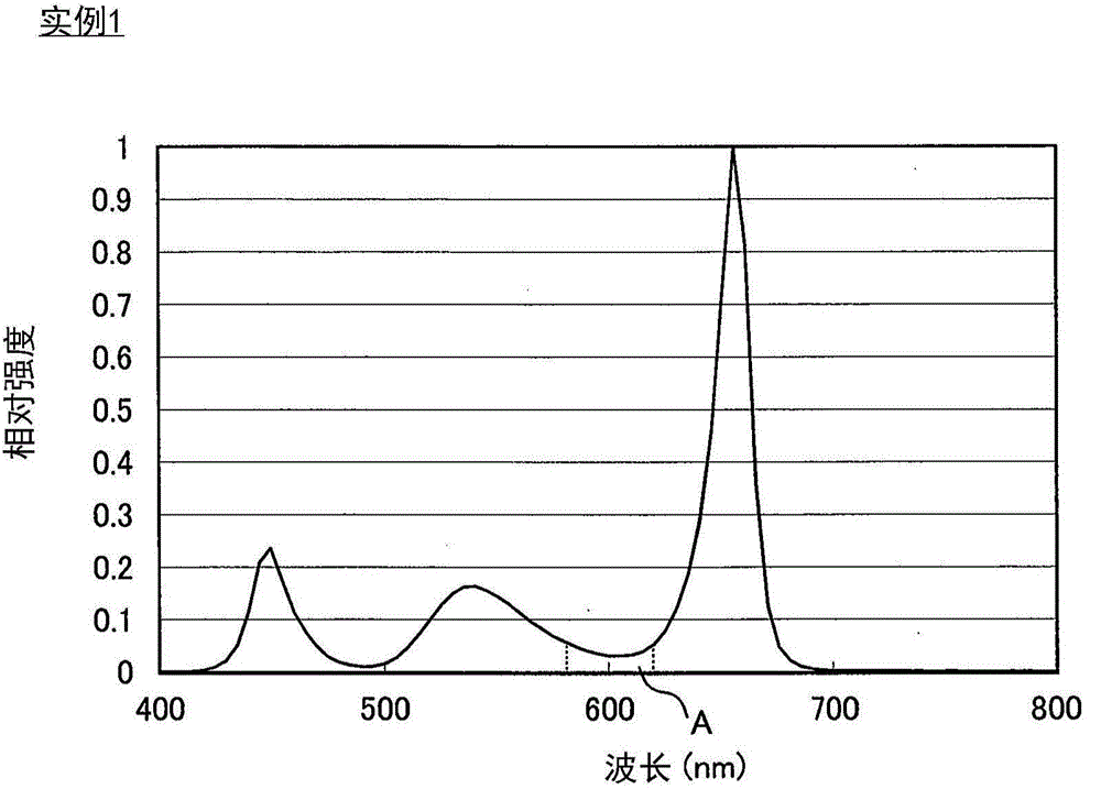 Food lighting device and meat lighting device