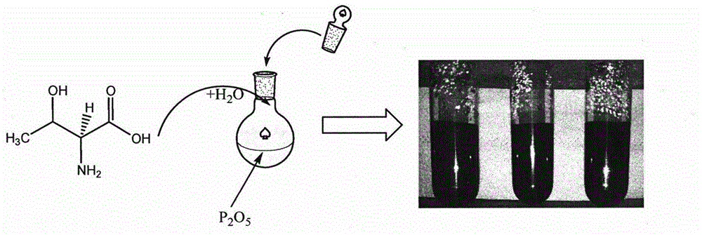 Method for synthesizing carbon quantum dots by using amino acid as precursor and application of carbon quantum dots in detection of metal ion concentration