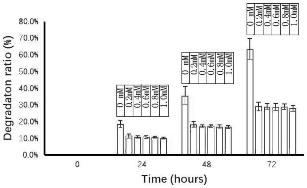 Method for preparing cross-linked dextran gels resistant to alpha-glucosidase hydrolysis