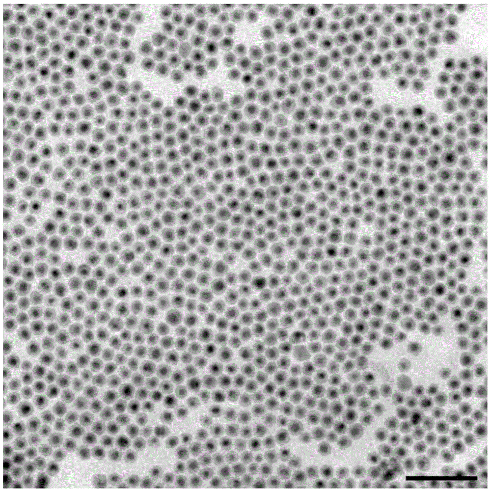 Au@Cu2-deltaX nanoscale crystal and preparation method and application thereof