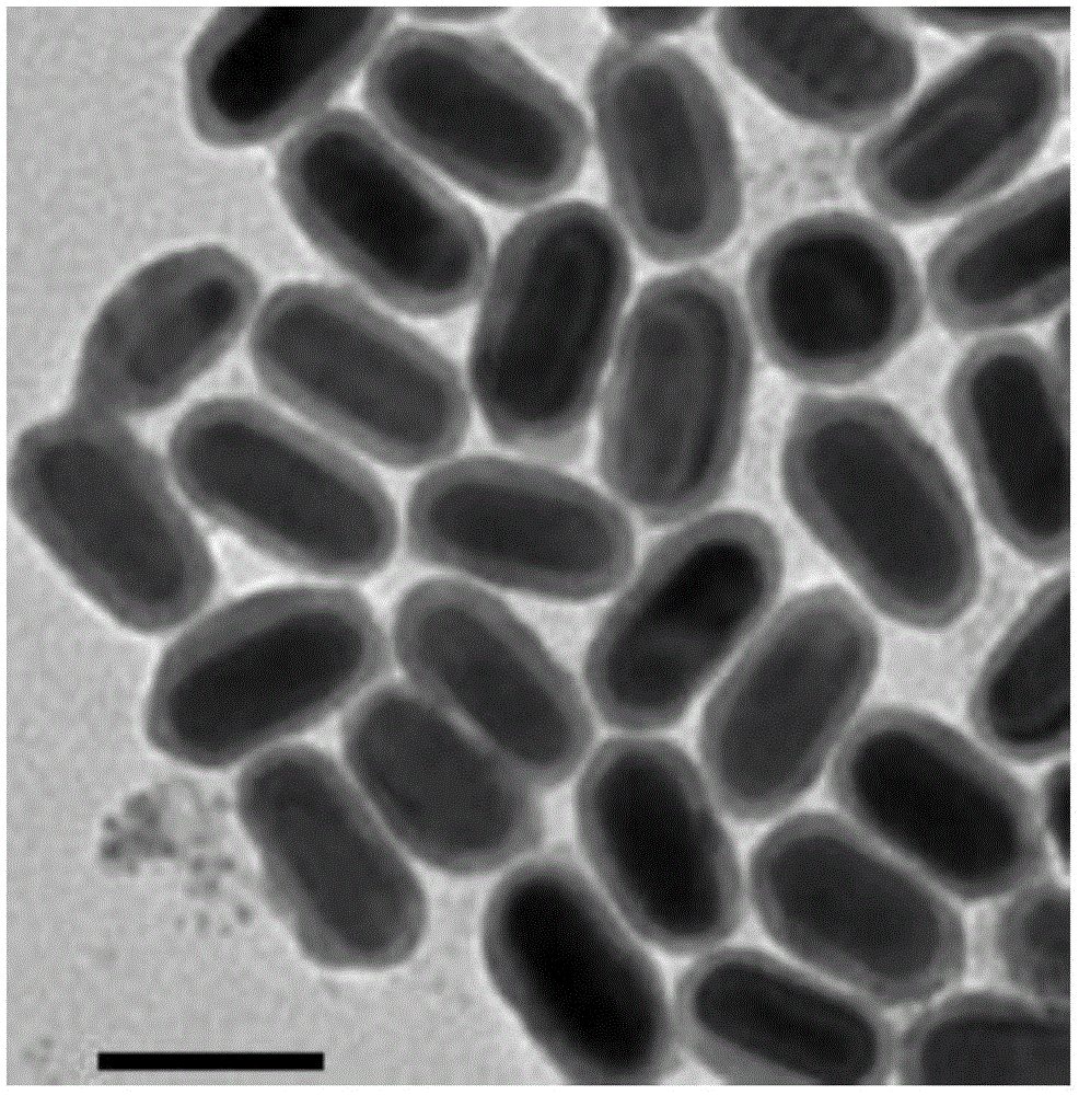 Au@Cu2-deltaX nanoscale crystal and preparation method and application thereof