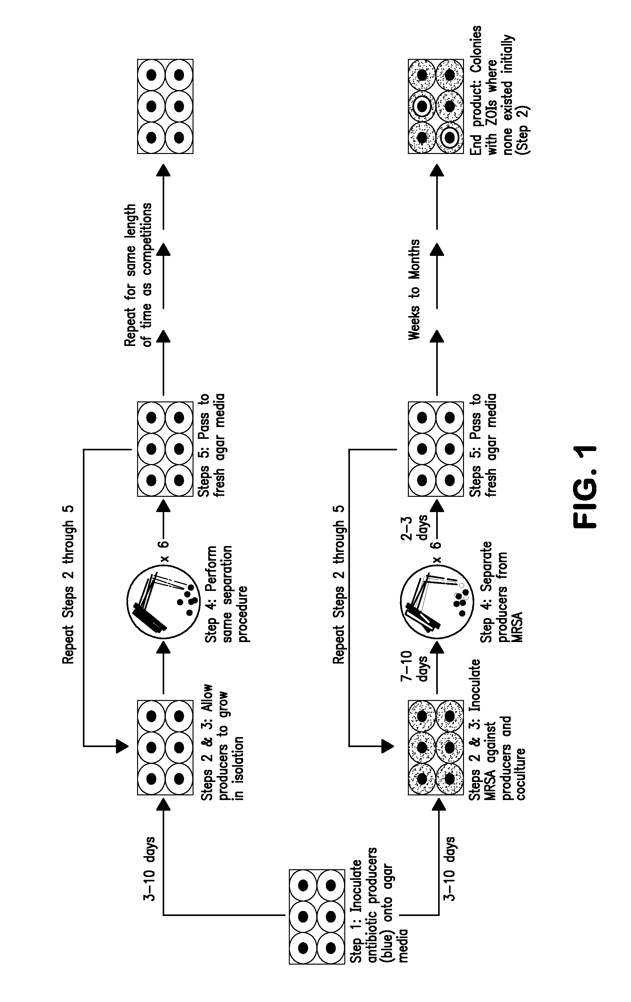 Method to Generate Novel Bioactive Molecules