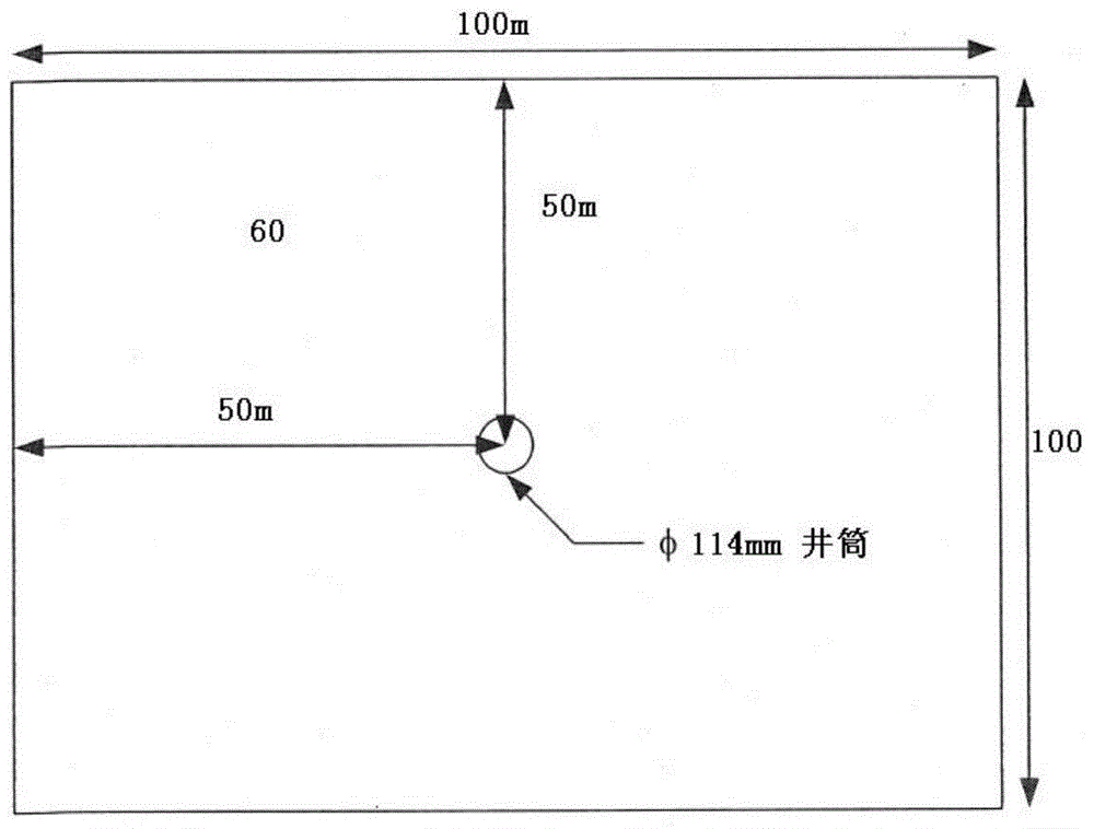 Horizontal well layer blast crack body modeling method