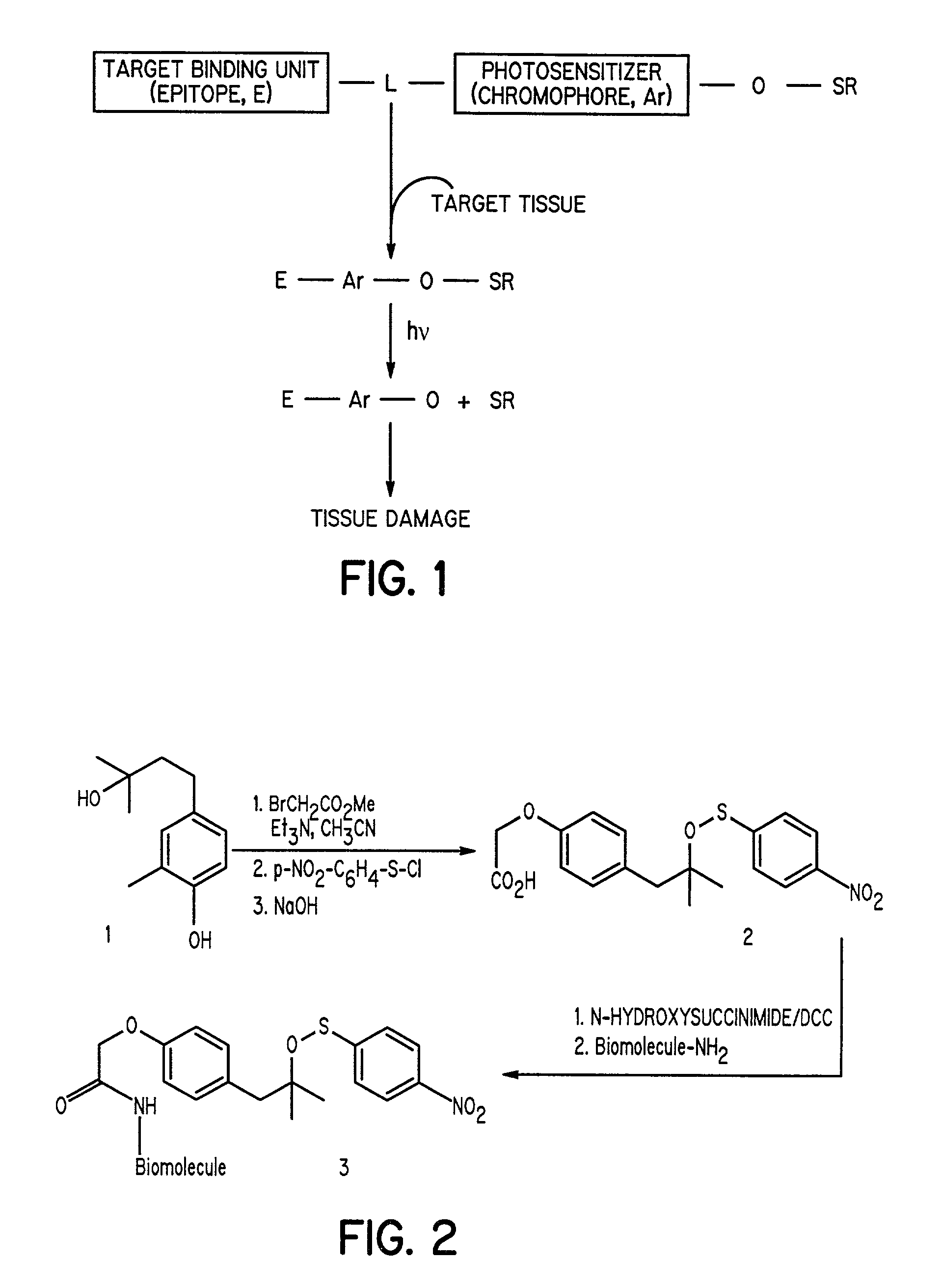 Aromatic sulfenates for type I phototherapy