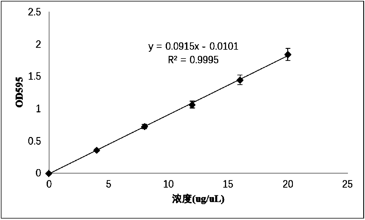 Composition for screening anti-tuberculosis drugs, and screening model and screening method