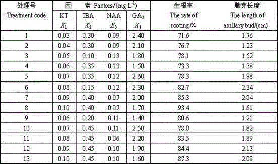 Method for efficiently forming seedlings in vitro by utilizing stem segments of rhododendron plants in Changbai Mountains