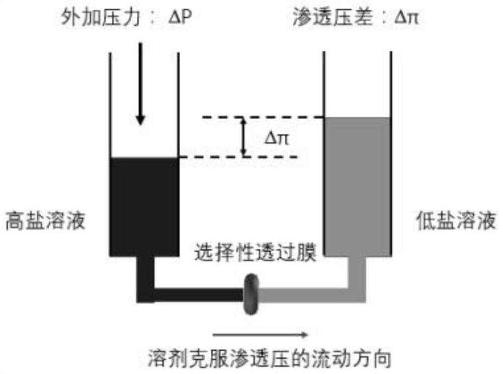 A preparation method of a high-performance reverse osmosis membrane to promote the growth of polyamide nanovesicles