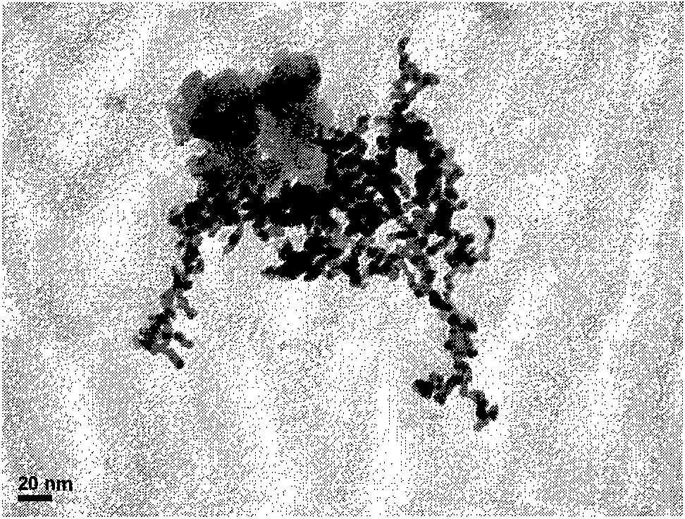 Method for preparing supported nanometer gold catalyst by laser deposition