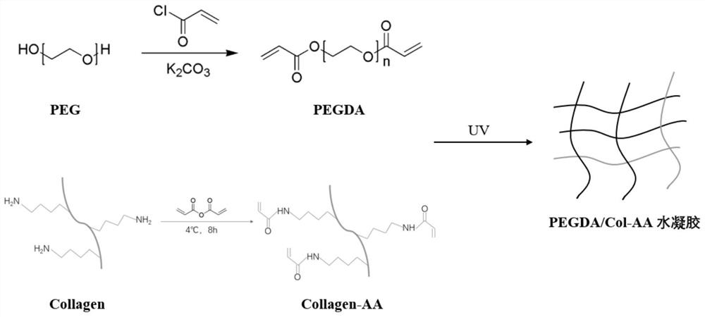 A kind of hydrogel material and its preparation method and application