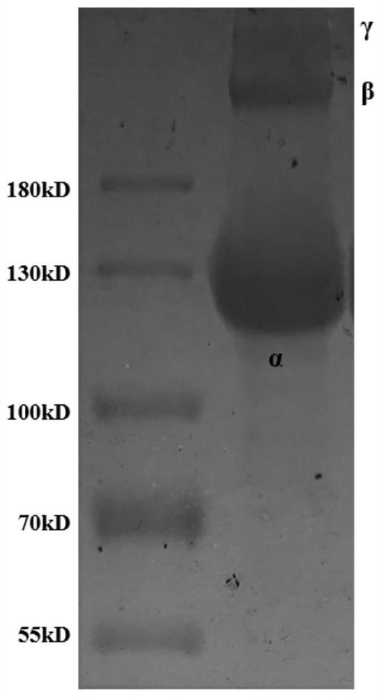 A kind of hydrogel material and its preparation method and application