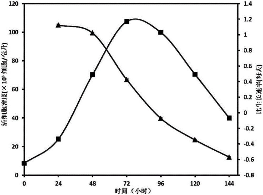 Serum-free culture medium for BHK cells