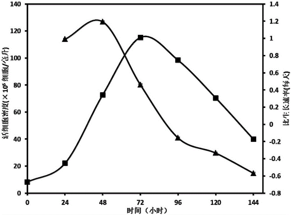 Serum-free culture medium for BHK cells