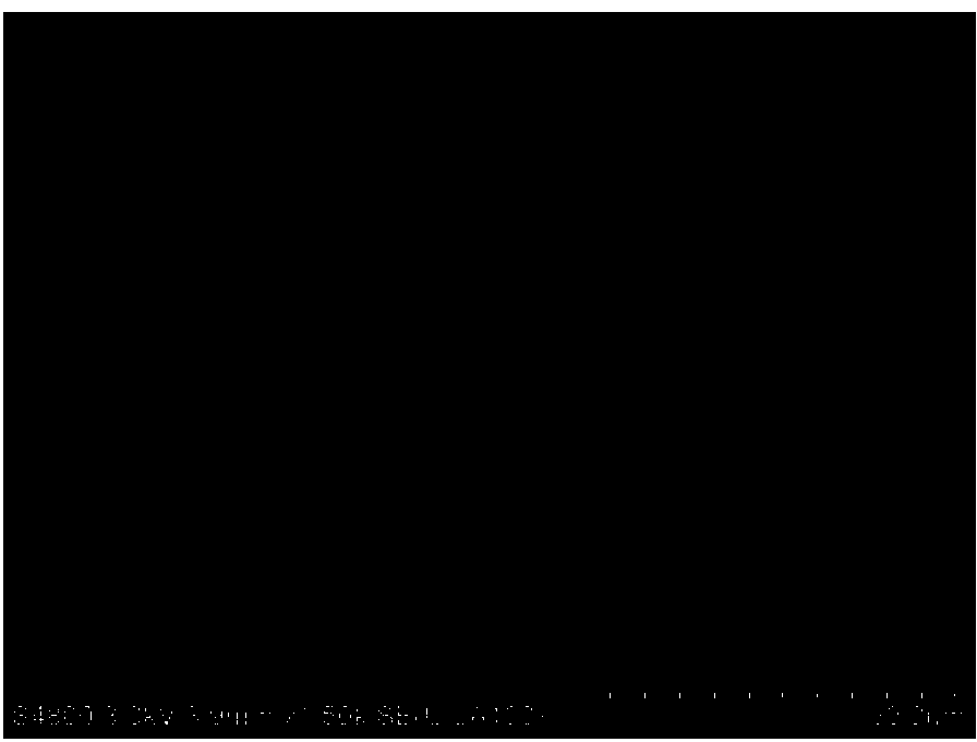 Modification method of natural graphite ball-milling machinery and modified natural graphite anode material