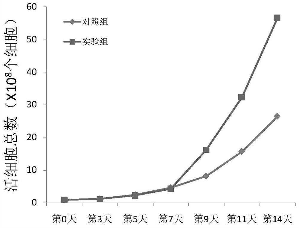 Composition for autologous lymphocyte culture, culture solution and application of composition